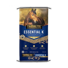 Tribute Essential K