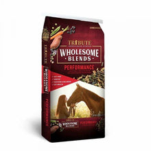 Tribute Wholesome Blends Performance