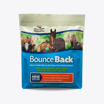 Manna Pro Bounce Back Multi Species Electrolyte Supplement 4 lb